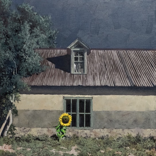 Sunflower, Oil 24 x 26